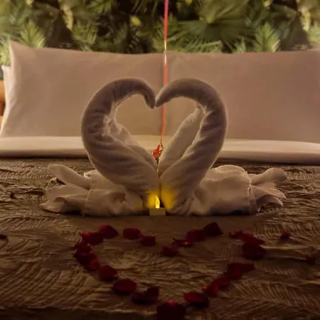 ゲストハウス Domaine L'instant Du Colibri 4*